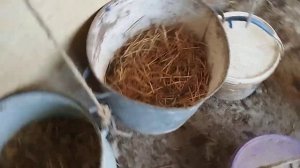 кормушка для кур