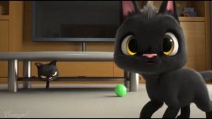 1995 Жанна Агузарова Чёрный кот