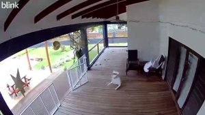 Момент землетрясения магнитудой 7.3 в Порт-Виле (Вануату, 17.12.2024).