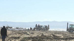 Добровольцы и волонтеры со всей страны приезжают в Анапу, чтобы помочь в уборке побережья