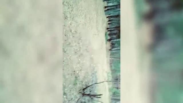 Идём в заброшенную псих больницу с друзьями.