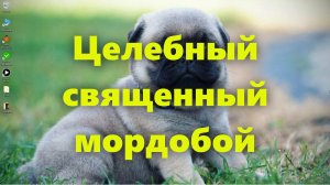 Украина - это уже не страна: территория мордобоя сегодня и будущее Украины. Как дела на Украине?