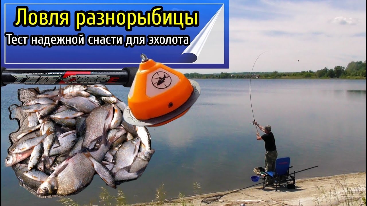 Ловля разнорыбицы на пикер в июне
