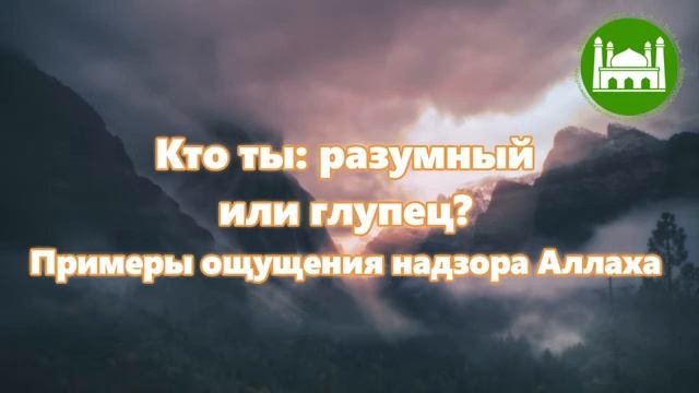 Кто ты разумный или глупец Примеры ощущения надзора Аллаха  Абу Яхья Крымский
