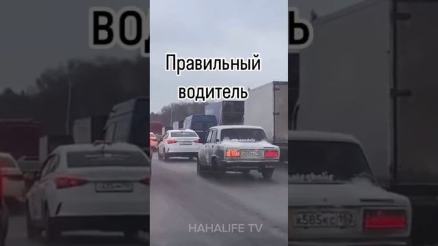 Самое лучшее что я когда либо видел