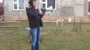 Рупор