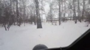 1000037133.mp4по лесу