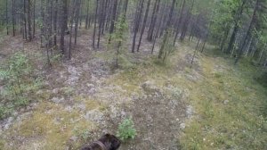 Металлокоп в тайге . ТОП находки.