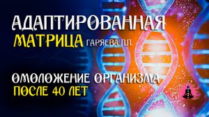 Матрица замедления старения  🌀 Адаптированная программа матрица ☀️ SoftRadio.ru
