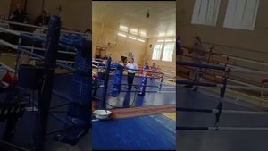 кикбоксинг.детский турнир