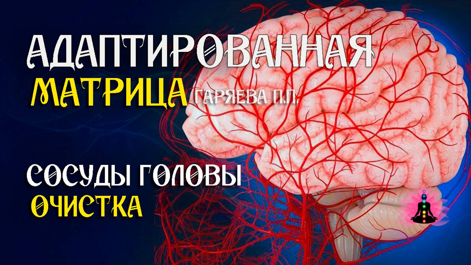 Очистка сосудов головы  🌀 Адаптированная матрица Гаряева П.П.  ☀️ SoftRadio.ru