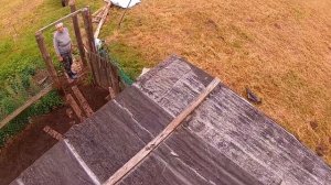 Незваный гость - пришлось вызвать охотника