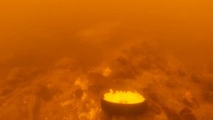 Подводный тест прикормки - Кускус