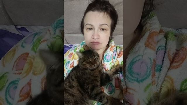 Кот Борис