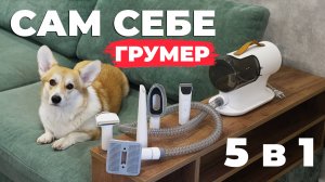 Genio Pet i50: пылесос для груминга✂️😺🐶  Набор из 5 насадок🔥 ОБЗОР и ТЕСТ✅