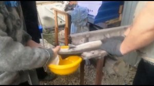 Икра 2019 итог.