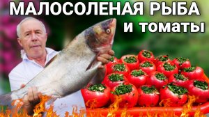 ТОЛСТОЛОБИК МАРИННОВАНЫЙ в ЗЕЛЕНИ и ЗАКУСКА из ФАРШИРОВАННЫХ МАЛОСОЛЕНЫХ КРАСНЫХ ПОМИДОР