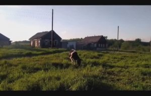 Гиблые деревни.