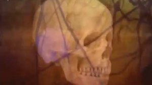 Краниосакральный ритм