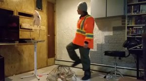 Попугай ругается матом когда ломают его клетку