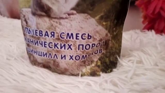 Мои покупки в зоомагазине хомячку 🐹♥️/ХОМО ШОУ