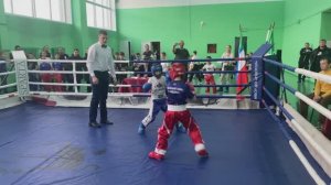 открытое Первенство Алтайского района по кикбоксингу, посвящённое 80-летию Алтайского района