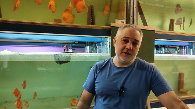 Вопросы на ответы . смотреть онлайн