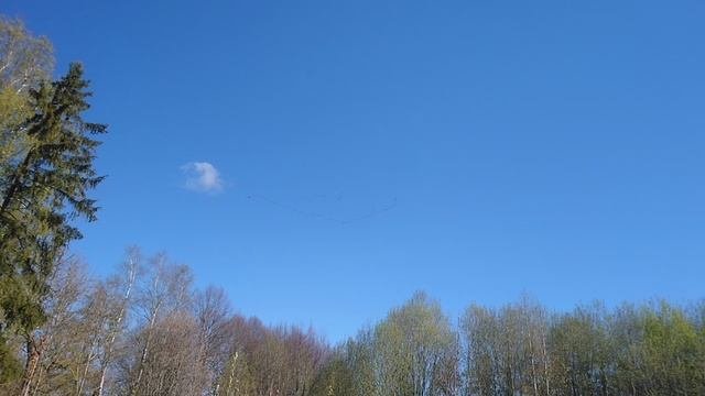 MOV_0004.mp4
