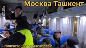 МОСКВА ТАШКЕНТ АВТОБУС ТАШКЕНТ МОСКВА АВТОБУС москва тошкент автобус тошкент москва автобус