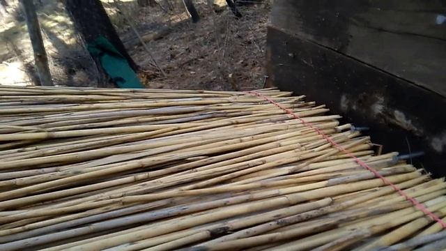 Крыша из камыша на Урале