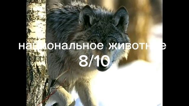 оцениваю страны