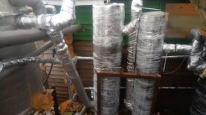 Осетровые зимой