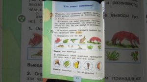 Видео-урок по окружающему миру 1 класс "Как живут животные?".mp4