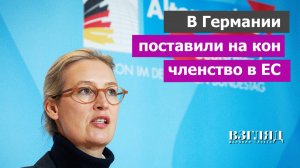 Немцы хотят британского пути. «Альтернатива для Германии» выступила за референдум о выходе из ЕС