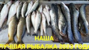 2023 год, с. Вышка, Астраханская область / сомы на саранчу, сазан, судак.