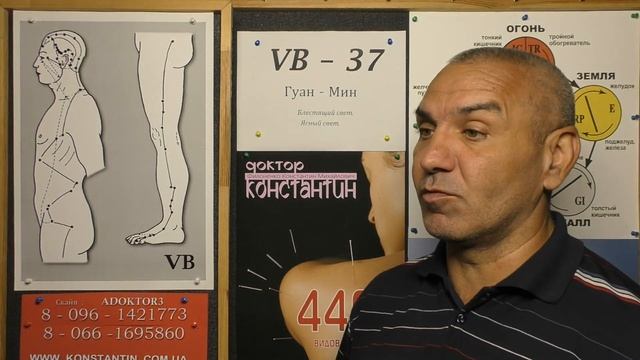 Эволюция Адаптации к Миру