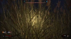 S.T.A.L.K.E.R. 2  - Артефакт на камне в БОЛОТЕ