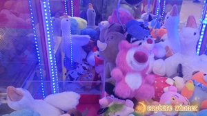 МЕДВЕДЬ ЛОТСО В АППАРАТЕ 🧸 И СЕРЫЙ КОТИК😻