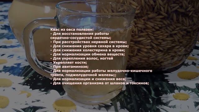 Рецепт кваса из овса - как сделать самому овсяный квас