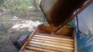 Хобби два в одном