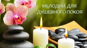 Оазис душевного равновесия