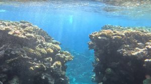 Обзор бухты Шаркс бей ( Shark's Bay) 1серия