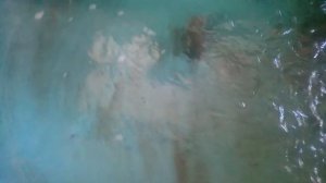 “Огромная” стерлядь