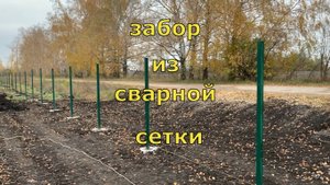 Забор из сварной сетки