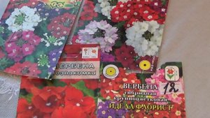 Какие цветы ещё можно сеять в январе.