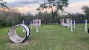 Соревнования