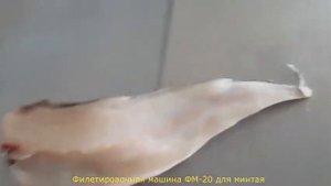 Филетировочная машина ФМ-20 (для минтая)