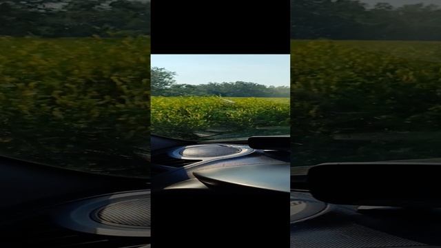 воспоминания лето 2024.