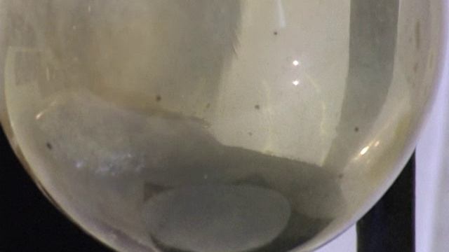 005. Получение хлора из конц соляной кислоты и перманганата калия смотреть онлайн