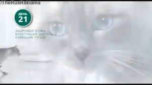 Реклама Пурина Уан - Результат через 21 день